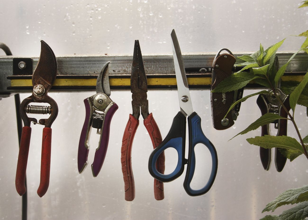 Gardening Shears and Tools